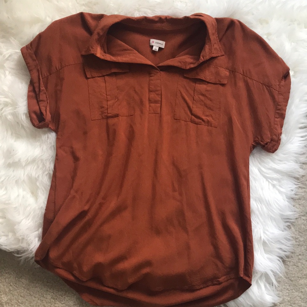 Cremieux Pumpkin Spice Short Sleeve Tunic